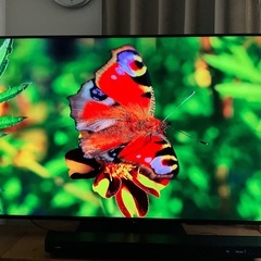 SHARP AQUOS 4T-C70CN1   70インチ　4Kテレビ