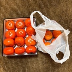 【引渡予定】柿　食品