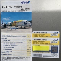 ANA 株主優待券　2024年11月まで有効