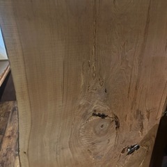 一枚板　杉　巨大　82センチ×176センチ　売約済み