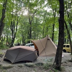 サーカスtcdx フラップセット