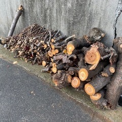 神戸市垂水区　桜の木の生木　薪にどうでしょう？丸木