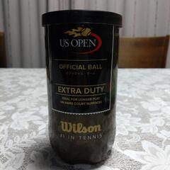 【未使用】Wilson　硬式テニスボール2個入り