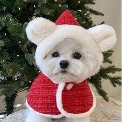 【新品】 くま耳 犬 クリスマス ケープ コスチューム　Sサイズ