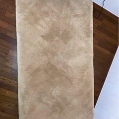 東京西川 ムートンシーツ カラーダイアシープトンTF  シングル　温かく眠れる敷き布団としても