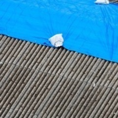 雨漏り点検します☆ 編