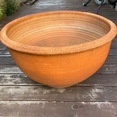 大きな鉢（約50cm）