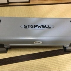 ステップウェル　STEPWELL2   ステップ台