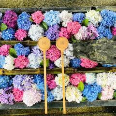 お花の装飾 - 稲沢市