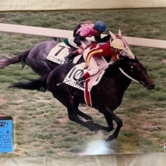 競馬　1993年　ウイニングチケット　ダービー優勝　パネル