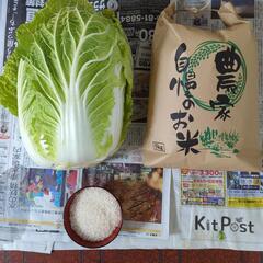 【お取引先決定済み】令和5年のお米5kgと白菜