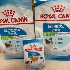 【ドッグフード】ロイヤルカナン　超小型犬の子犬用
