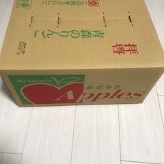 青森産りんご　10Kg 