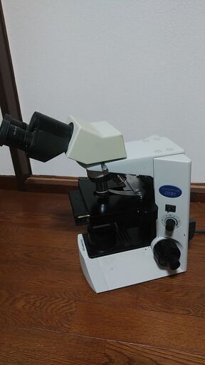 OLYMPUS オリンパス CX31LBSF CX31 双眼生物顕微鏡
