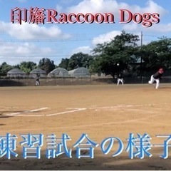 ✨⭐️女子野球⭐️印旛Raccoon Dogs⭐️ − 千葉県