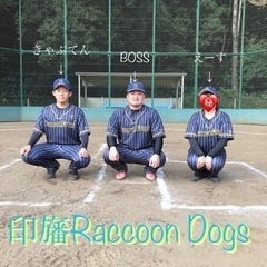 ✨⭐️女子野球⭐️印旛Raccoon Dogs⭐️ - 佐倉市