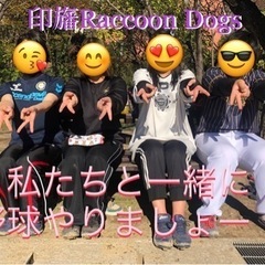 ✨⭐️女子野球⭐️印旛Raccoon Dogs⭐️ - メンバー募集