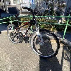 CENTURION(センチュリオン）BackFire　comp　30.26