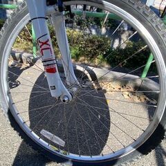 CENTURION(センチュリオン）BackFire　comp　30.26