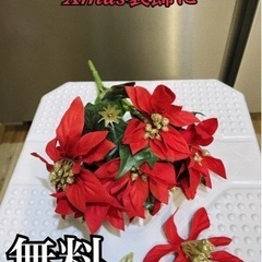 無料　Xmas装飾　お花　赤い花　ポインセチア