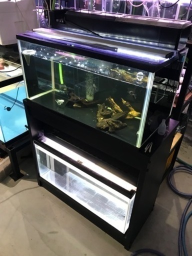 お譲り先決定‼️2段セット！！！900水槽フルセット　90cm水槽　水槽用品　水槽機材