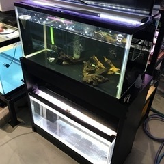 お譲り先決定‼️1800水槽　熱帯魚　水槽用品　水槽機材 お譲り先決定‼️1800水槽 熱帯魚 水槽用品 水槽機材