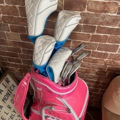 WILLSON レディース 女子 ゴルフクラブ キャディバッグ 初心者向け 8本