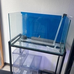 ※今週のみ限定値下げ　PAS 60cm水槽オーバーフローセット