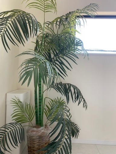 観葉植物　フェイクグリーン