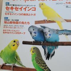 せきせいいんこ情報誌