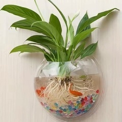 新品🔸壁掛🪴観葉植物/フラワー ポット💐