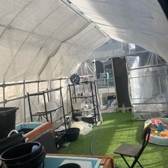 成約済み　ビニールハウス