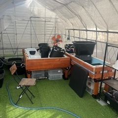 成約済み　ビニールハウス