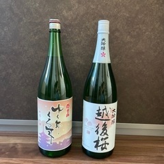 【12月17日まで】日本酒2本セット