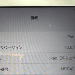 iPad