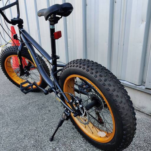 愛品倶楽部柏店】Eizer 20インチミニバイク F120 ファットバイク 愛品