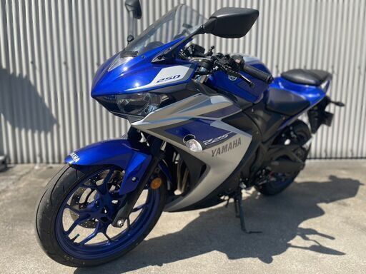 ヤマハ　YZF-R25　RG10J　フルエキ　バックステップ　他カスタム　各所メンテ済み