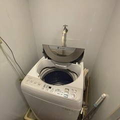 家電 生活家電 洗濯機