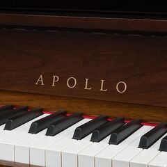 【決算セールで更にお値打ちに！】グランドピアノタッチ（特許取得）アポロA5WSSS