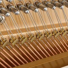 【決算セールで更にお値打ちに！】グランドピアノタッチ（特許取得）アポロA5WSSS