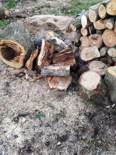 丸太、薪ストーブ【商談中】 丸太、薪ストーブ【商談中】