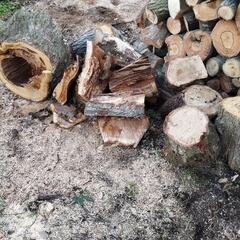 丸太、薪ストーブ【商談中】