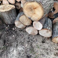 丸太、薪ストーブ【商談中】