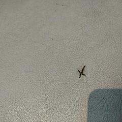 ◆値下げしました◆ KAWAI 電子ピアノ ES8