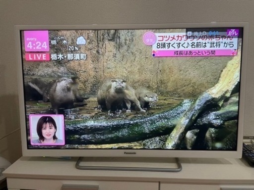 Panasonic テレビ