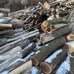 原木薪 薪 広葉樹 2立方から