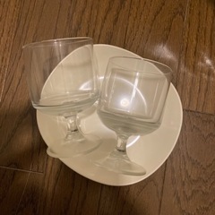 グラスとプラスチック平皿セット