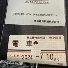 南海電鉄　株主優待乗車券　定期型