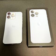 iPhone 13 Pro シエラブルー 1024GB 1TB 美品