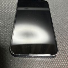 iPhone 13 Pro シエラブルー 1024GB 1TB 美品